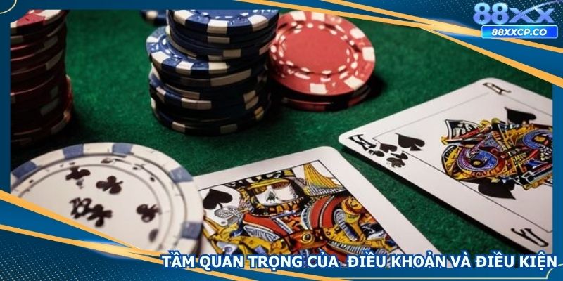 Khám phá tầm quan trọng của chính sách điều khoản và điều kiện